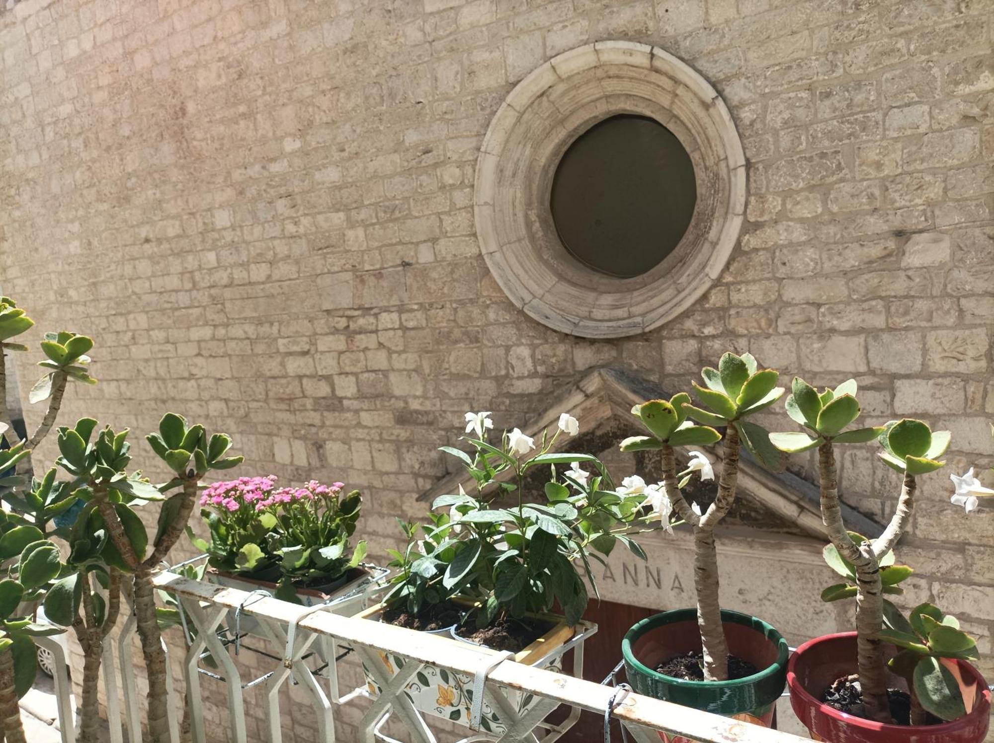 Casa Vacanze Il Geco Trani Exterior foto